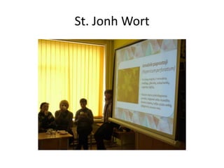 St. Jonh Wort
 