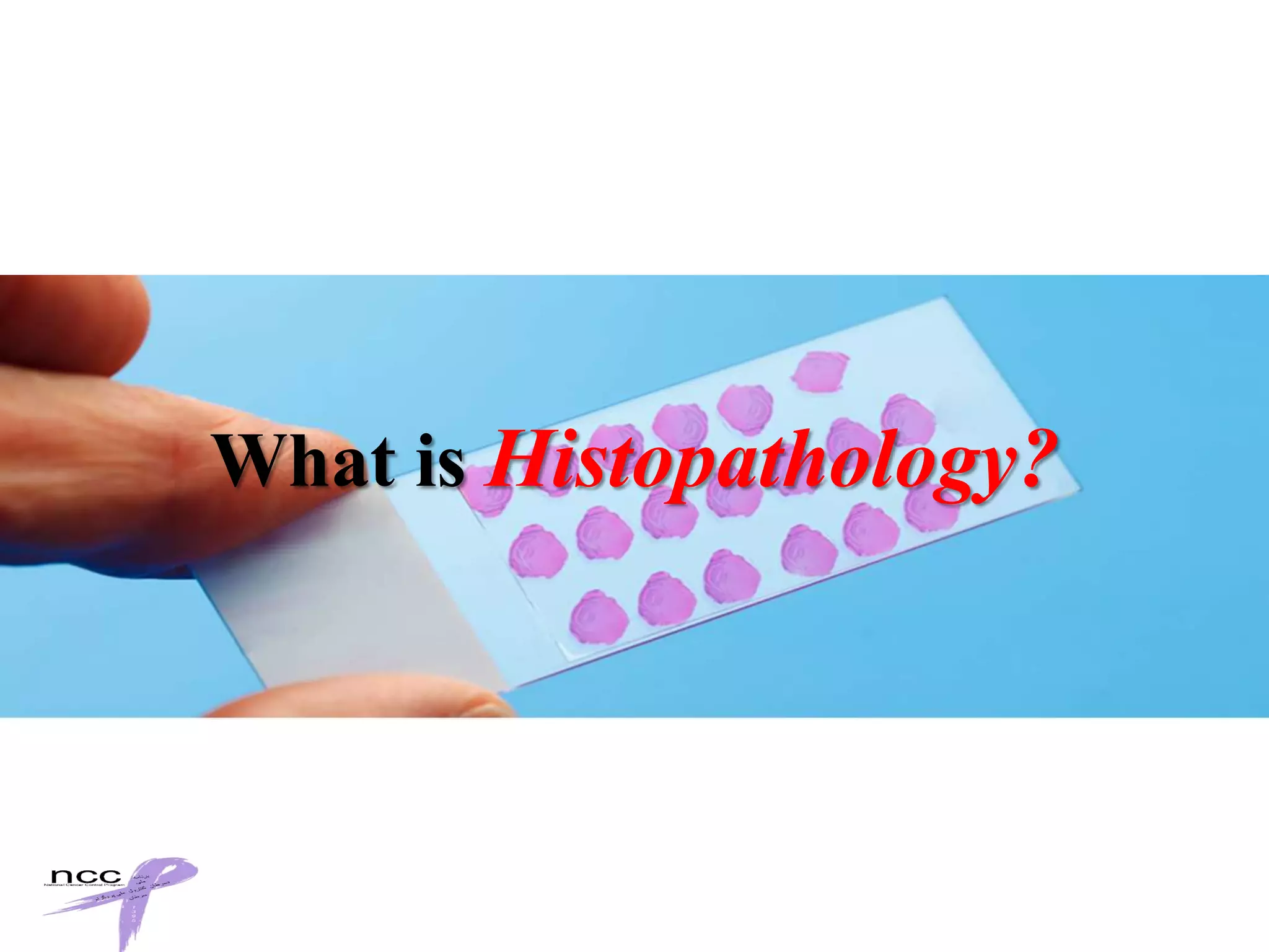 Picture of What is histopathology[1] | PPTX