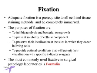 What is histopathology[1] | PPTX