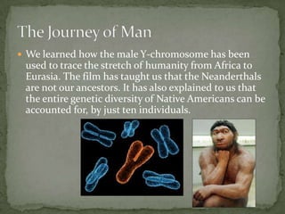 We learned how the male Y-chromosome has been used to trace the stretch of humanity from Africa to Eurasia. The film has taught us that the Neanderthals are not our ancestors. It has also explained to us that the entire genetic diversity of Native Americans can be accounted for, by just ten individuals.,[object Object],The Journey of Man,[object Object]