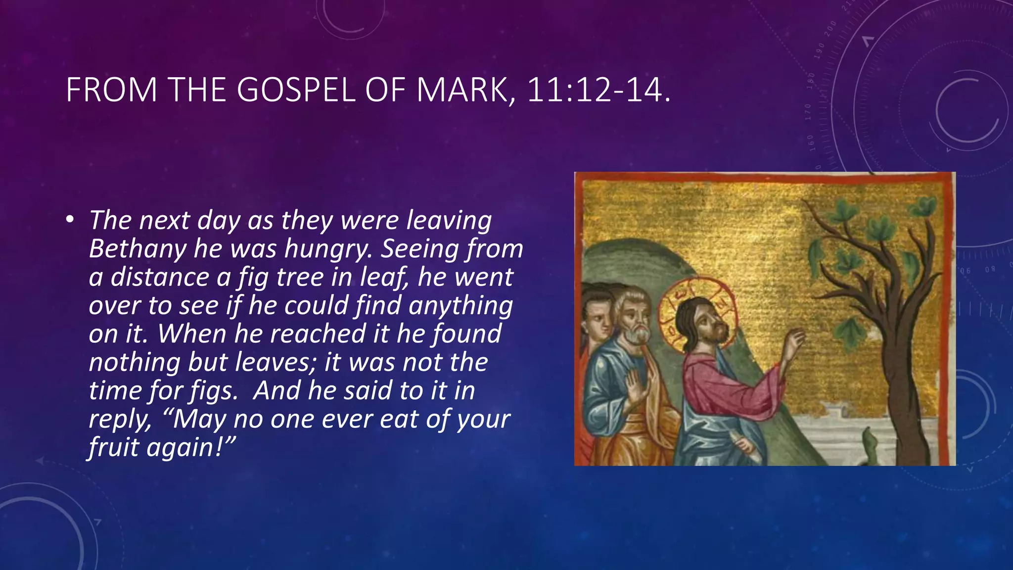 FROM THE GOSPEL OF MARK, 11:12-14.
• The next day as they were leaving
Bethany he was hungry. Seeing from
a distance a fig tree in leaf, he went
over to see if he could find anything
on it. When he reached it he found
nothing but leaves; it was not the
time for figs. And he said to it in
reply, “May no one ever eat of your
fruit again!”
 