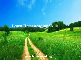 Learn Homesteading Skills
www.homestead.org/
 