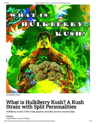 8/4/2020 What is HulkBerry Kush? A Kush Strain with Split Personalities
https://cannabis.net/blog/strains/what-is-hulkberry-kush-a-kush-strain-with-split-personalities 2/10
HULKBERRY KUSH
What is HulkBerry Kush? A Kush
Strain with Split Personalities
HulkBerry is one of the most popular cannabis strains around today
Posted by:
Joseph Billions , today at 12:00am
 