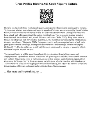 Gram Positive Bacteria And Gram Negative Bacteria
Bacteria can be divided into two types of species, gram positive bacteria and gram negative bacteria.
To determine whether a certain type of bacteria was classified tests were conducted by Hans Christian
Gram; who discovered the differences within the cell walls of the bacteria. Gram positive bacteria
have a thick wall which consists of the protein peptidoglycan. This is opposite to gram negative
bacteria which has a thin cell wall, which fold over each other (Wells, 2017). They retain a much
thinner peptidoglycan wall between two membranes. The membrane surrounding the cytoplasm and
the outer membrane. (Wikipedia, 2017). Both gram positive and gram negative bacteria both stain,
gram positive retains violet dye. Gram positive bacteria don t retain the dye and turn red or pink
(Diffen, 2017). Due the difference in cell wall thickness gram negative bacteria is harder to inhibit,
compared to gram positive bacteria.
Two types of bacteria will be tested throughout this investigation, Serratia Marcescens and
Staphylococcus Epidermidis. Serratia Marcescens are gram negative bacteria, which can be found on
any surface. They mainly occur in water, soil, or and within animals located in their digestive tract
(Antonette B Climaco, 2017 ). They are stained red which can often be mistaken with blood drops.
This bacteria can affect the macrophages within the human body, this affects the immune system and
the destruction of foreign pathogenic cells within the body. Staphylococcus
... Get more on HelpWriting.net ...
 
