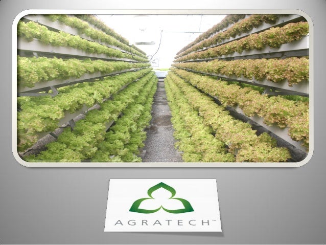 How To Invest In Hydroponics How To Invest In Hydroponics