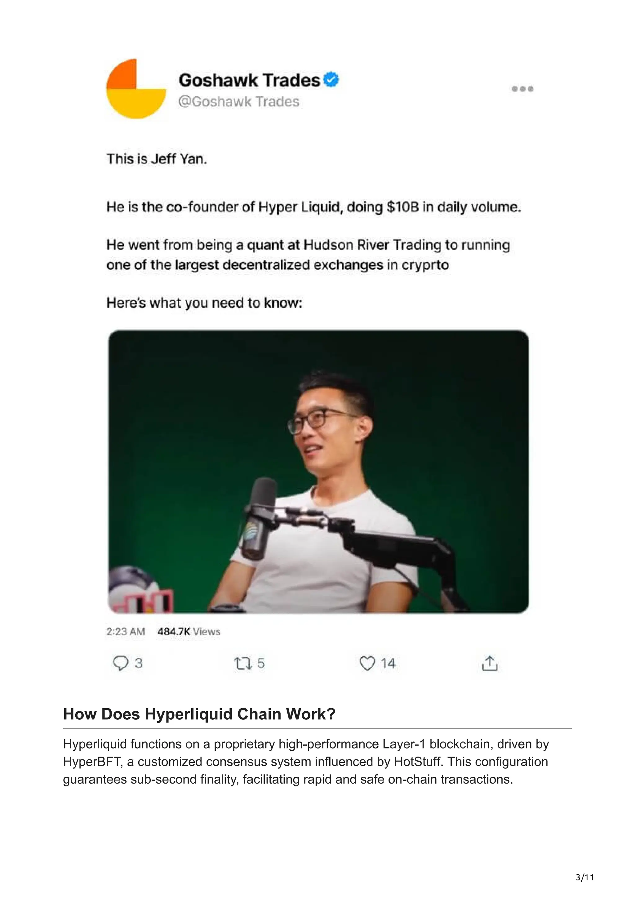 WHAT IS HYPERLIQUID HYPE AND HOW DOES IT WORK visual data 4