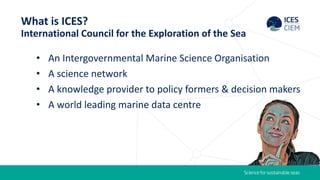 What is ices | PDF