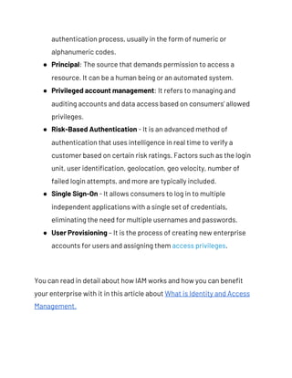 Identity and Access Management (IAM) | PDF