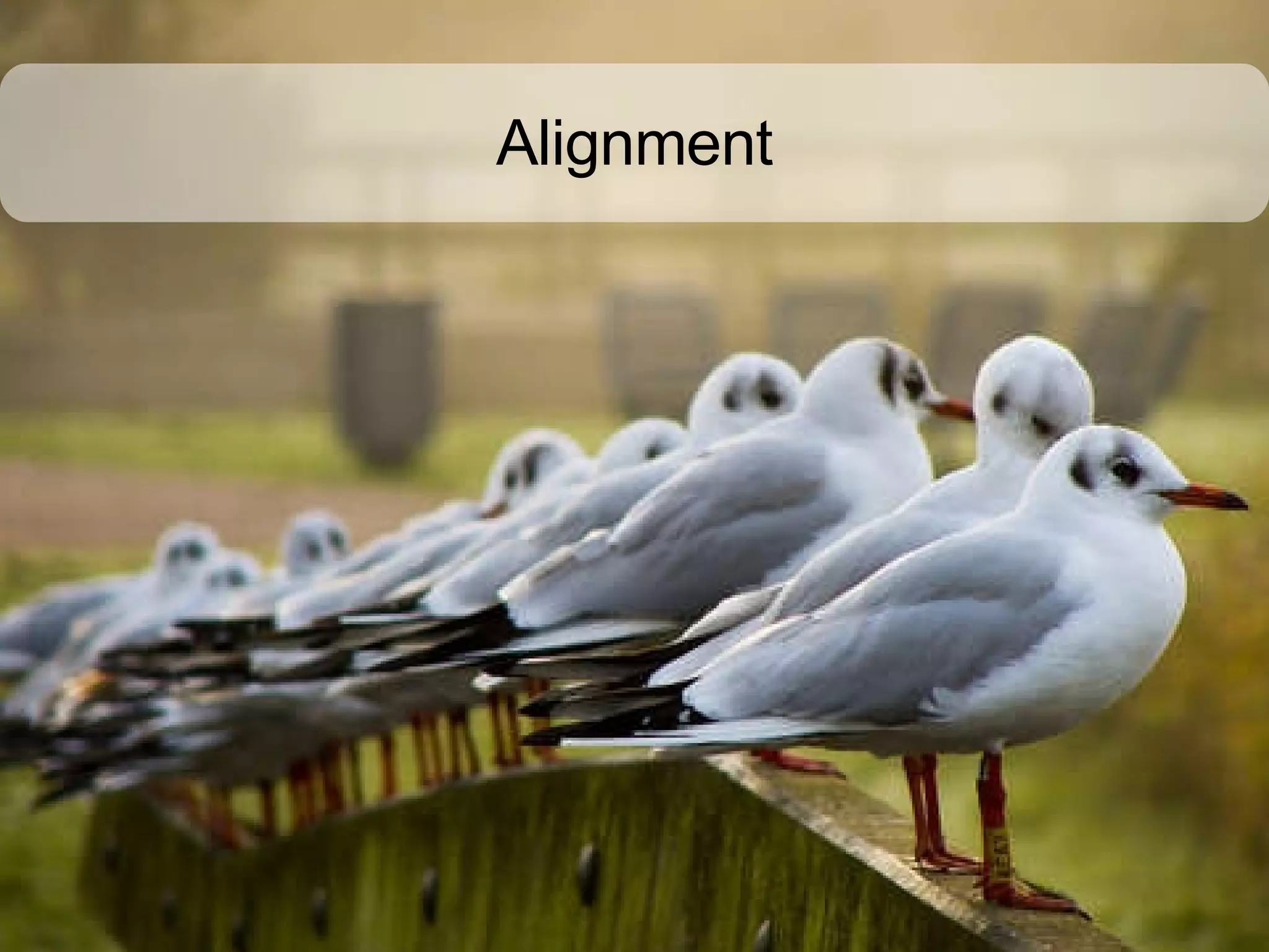 Alignment 
