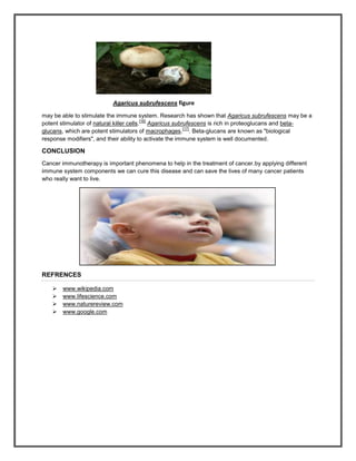 Agaricus subrufescens figure

may be able to stimulate the immune system. Research has shown that Agaricus subrufescens may be a
                                          [16]
potent stimulator of natural killer cells. Agaricus subrufescens is rich in proteoglucans and beta-
                                                         [17]
glucans, which are potent stimulators of macrophages. . Beta-glucans are known as "biological
response modifiers", and their ability to activate the immune system is well documented.

CONCLUSION
Cancer immunotherapy is important phenomena to help in the treatment of cancer.by applying different
immune system components we can cure this disease and can save the lives of many cancer patients
who really want to live.




REFRENCES

      www.wikipedia.com
      www.lifescience.com
      www.naturereview.com
      www.google.com
 