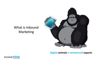 Digital animals – commercial experts
What is Inbound
Marketing
 