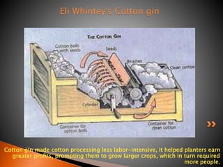 Cotton gin made cotton processing less labor-intensive, it helped planters earn 
greater profits, prompting them to grow larger crops, which in turn required 
more people. 
Eli Whintey's Cotton gin 
 