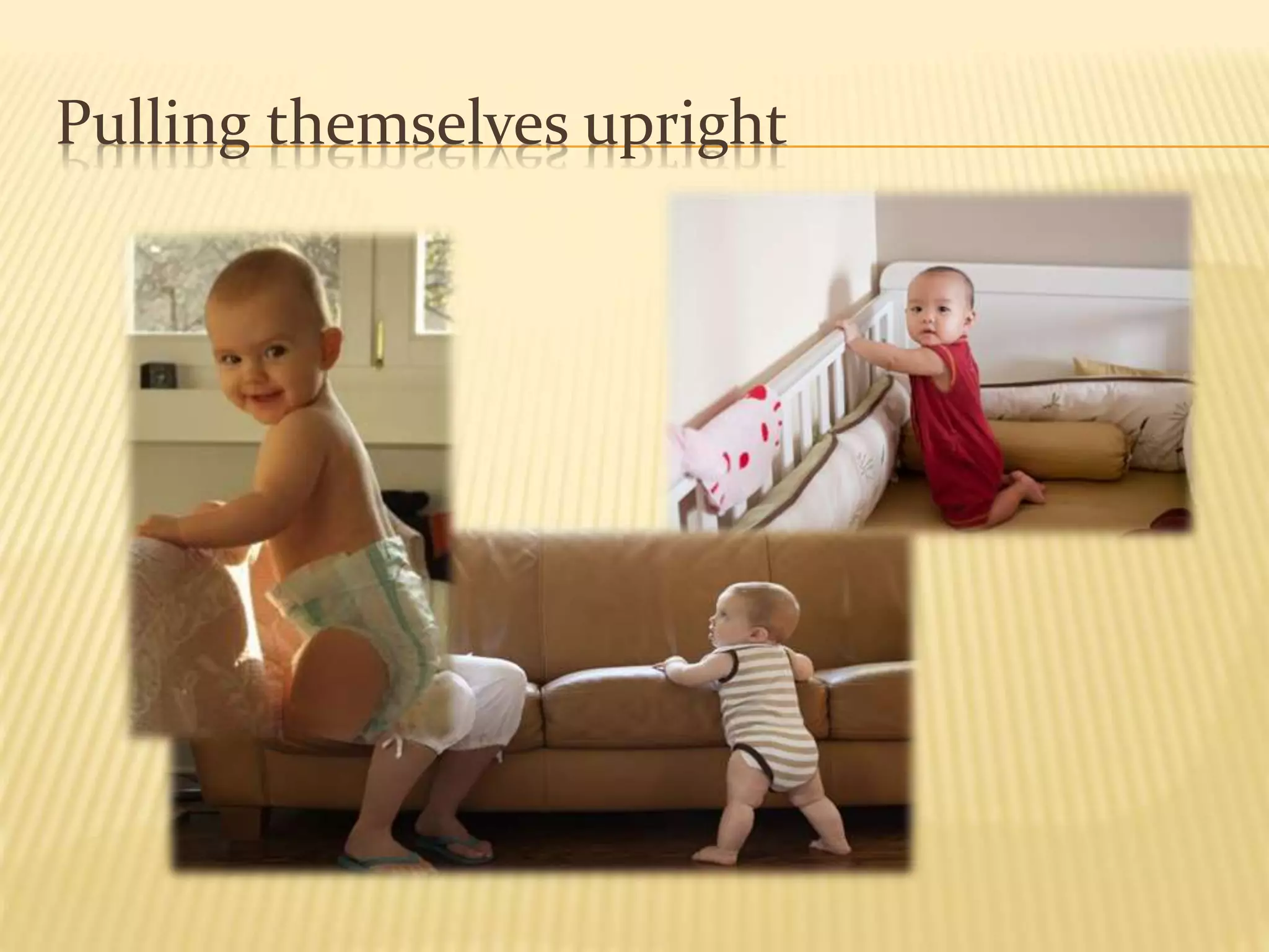 Pulling themselves upright
 