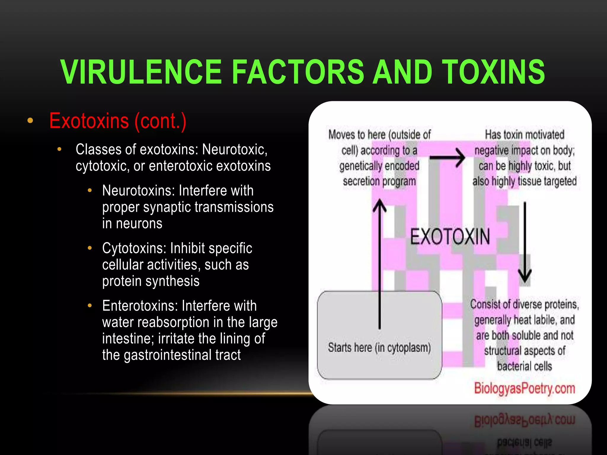 VIRULENCE FACTORS AND TOXINS
• Exotoxins (cont.)
   • Classes of exotoxins: Neurotoxic,
     cytotoxic, or enterotoxic exotoxins
        • Neurotoxins: Interfere with
          proper synaptic transmissions
          in neurons
        • Cytotoxins: Inhibit specific
          cellular activities, such as
          protein synthesis
        • Enterotoxins: Interfere with
          water reabsorption in the large
          intestine; irritate the lining of
          the gastrointestinal tract
 