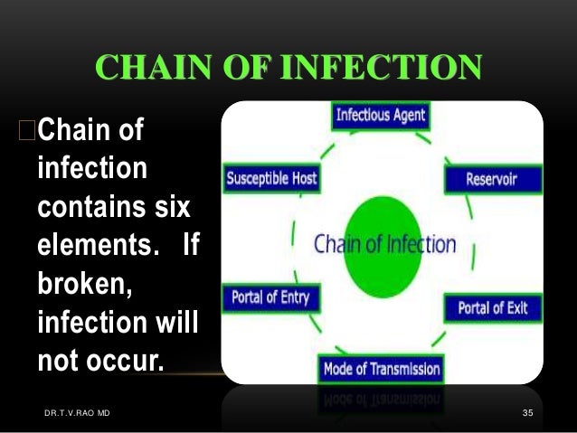 What Would Happen If A Food Chain Was Broken What Would Happen If A Food Chain Was Broken