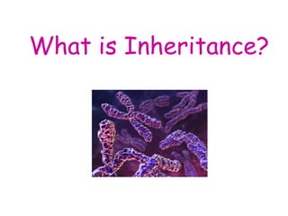 What is Inheritance? 