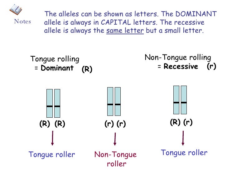 What Is Inheritance tounge diagram label 