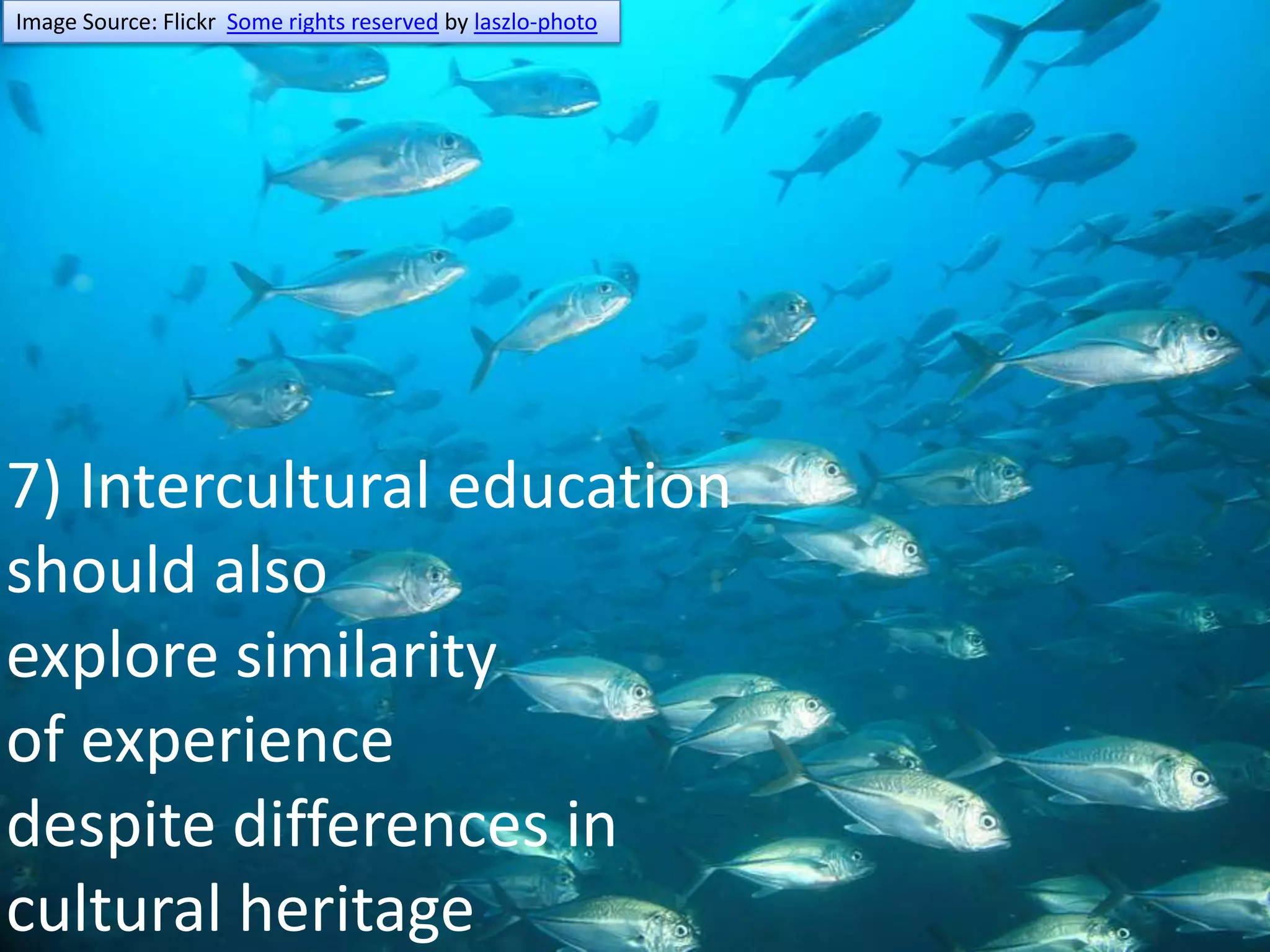 Image Source: Flickr  Some rights reserved by laszlo-photo7) Intercultural educationshould also explore similarity of experiencedespite differences in cultural heritage