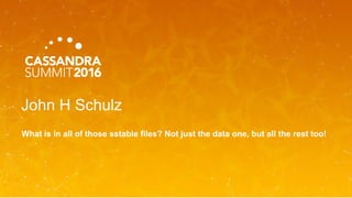 John H Schulz
What is in all of those sstable files? Not just the data one, but all the rest too!
 