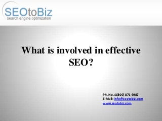 What is involved in effective
SEO?

Ph. No.:1(800) 871 9987
E-Mail: info@seotobiz.com
www.seotobiz.com

 