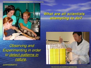 http://www.gbrmpa.gov.au/__data/assets/image/0008/17648/biologist.jpg




                                                                        What are all scientists
                                                                          attempting to do?




    Observing and
Experimenting in order
 to detect patterns in
       nature.
jschmied©2012
                                                                            http://asunews.asu.edu/files/images/Algae.jpg
 