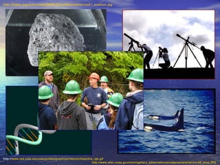 http://klabs.org/richcontent/MAPLDCon02/exhibits/rock1_medium.jpg




http://www.csb.yale.edu/userguides/graphics/ribbons/help/dna_rgb.gif
                                                            http://www.afsc.noaa.gov/nmml/gallery_admin/albums/cetaceans/killer/oo-48_orca.JPG
 