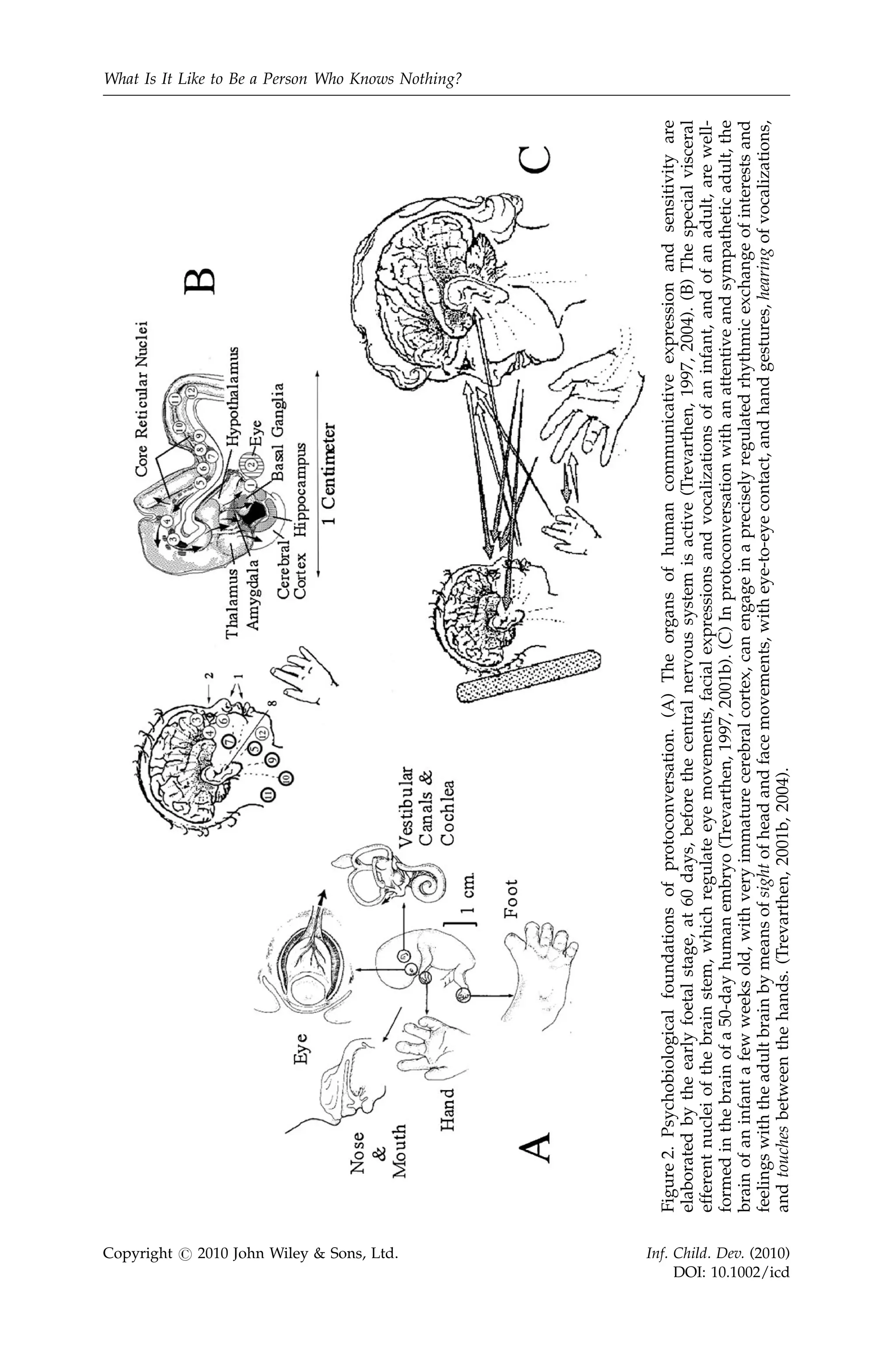 another, it seems quite absurd to suggest that a newborn infant
              