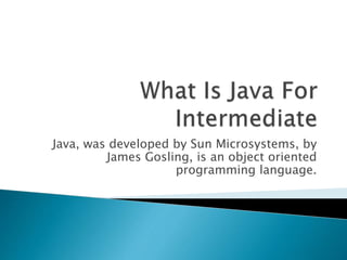 What is java | PPT