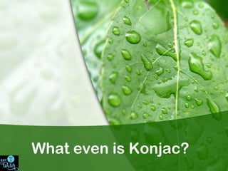 What even is Konjac?
 