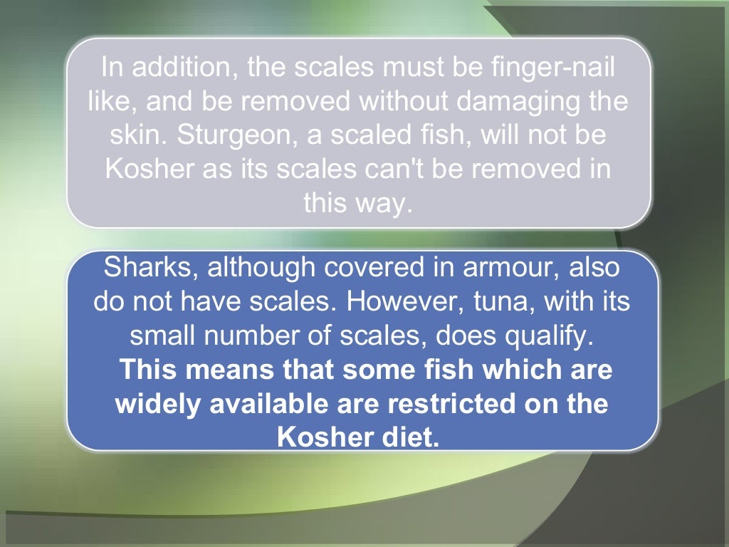 What is kosher seafood