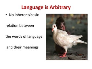 Language is Arbitrary
• No inherent/basic
relation between
the words of language
and their meanings
 