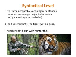 Syntactical Level
• To frame acceptable meaningful sentences
– Words are arranged in particular system
– (grammatical/ structural rules)
‘(The hunter) (shot) (the tiger) (with a gun)’.
‘The tiger shot a gun with hunter the’.
 