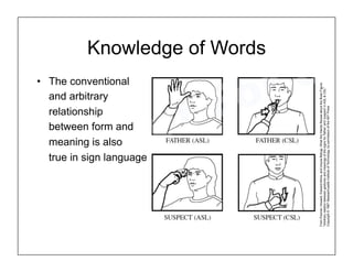 Knowledge of Words
• The conventional
and arbitrary
relationship
between form and
meaning is also
true in sign languages
From
Poizner,
Howard,
Edward
Klima,
and
Ursula
Bellugi.
What
the
Hands
Reveal
about
the
Brain
Figure:
"Arbitrary
relation
between
gestures
and
meanings
of
the
signs
for
'father'
and
'suspect'
in
ASL
&
CSL"
Copyright
©
1987
Massachusetts
Institute
of
Technology,
by
permission
of
the
MIT
Press
 