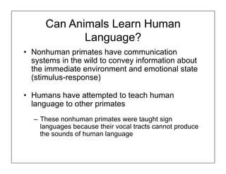 Can Animals Learn Human
Language?
• Nonhuman primates have communication
systems in the wild to convey information about
the immediate environment and emotional state
(stimulus-response)
• Humans have attempted to teach human
language to other primates
– These nonhuman primates were taught sign
languages because their vocal tracts cannot produce
the sounds of human language
 