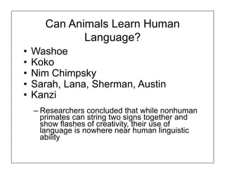 Can Animals Learn Human
Language?
• Washoe
• Koko
• Nim Chimpsky
• Sarah, Lana, Sherman, Austin
• Kanzi
– Researchers concluded that while nonhuman
primates can string two signs together and
show flashes of creativity, their use of
language is nowhere near human linguistic
ability
 