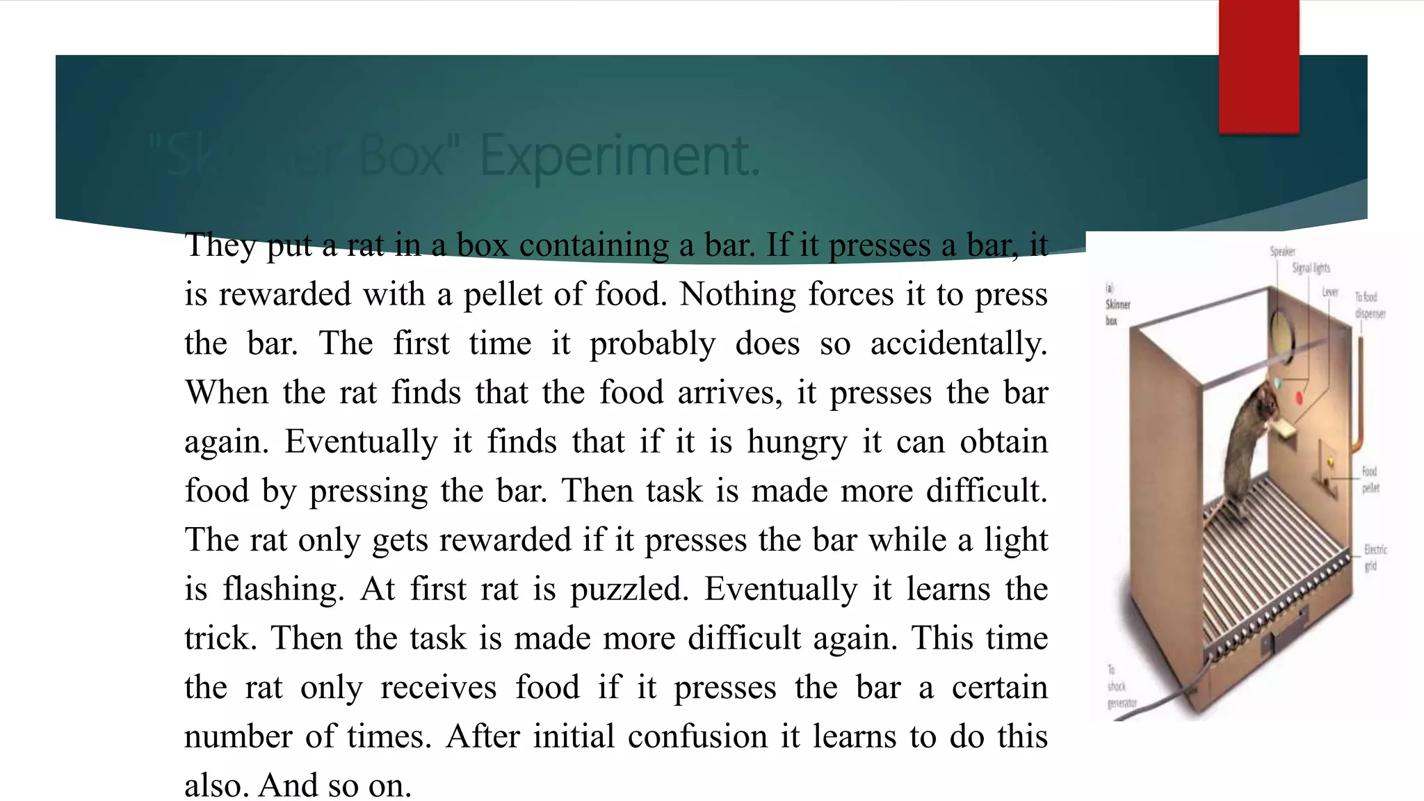 "Skinner Box" Experiment.
They put a rat in a box containing a bar. If it presses a bar, it
is rewarded with a pellet of food. Nothing forces it to press
the bar. The first time it probably does so accidentally.
When the rat finds that the food arrives, it presses the bar
again. Eventually it finds that if it is hungry it can obtain
food by pressing the bar. Then task is made more difficult.
The rat only gets rewarded if it presses the bar while a light
is flashing. At first rat is puzzled. Eventually it learns the
trick. Then the task is made more difficult again. This time
the rat only receives food if it presses the bar a certain
number of times. After initial confusion it learns to do this
also. And so on.
 