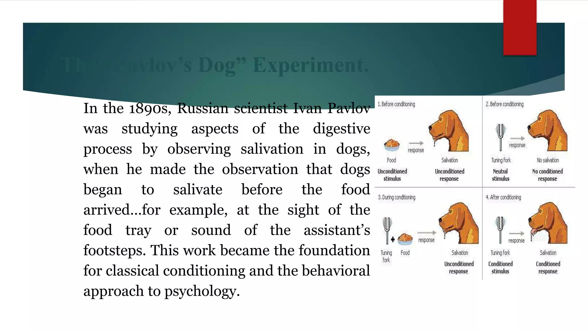 The “Pavlov’s Dog” Experiment.
In the 1890s, Russian scientist Ivan Pavlov
was studying aspects of the digestive
process by observing salivation in dogs,
when he made the observation that dogs
began to salivate before the food
arrived…for example, at the sight of the
food tray or sound of the assistant’s
footsteps. This work became the foundation
for classical conditioning and the behavioral
approach to psychology.
 