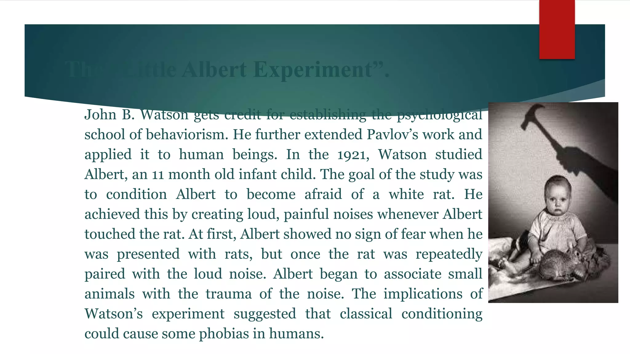 The “Little Albert Experiment”.
John B. Watson gets credit for establishing the psychological
school of behaviorism. He further extended Pavlov’s work and
applied it to human beings. In the 1921, Watson studied
Albert, an 11 month old infant child. The goal of the study was
to condition Albert to become afraid of a white rat. He
achieved this by creating loud, painful noises whenever Albert
touched the rat. At first, Albert showed no sign of fear when he
was presented with rats, but once the rat was repeatedly
paired with the loud noise. Albert began to associate small
animals with the trauma of the noise. The implications of
Watson’s experiment suggested that classical conditioning
could cause some phobias in humans.
 