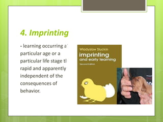 4. Imprinting
- learning occurring at a
particular age or a
particular life stage that is
rapid and apparently
independent of the
consequences of
behavior.
 