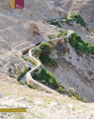1414
© Vivienne Gorman
Wadi Qilt, Jericho.
 