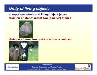 Unity of living objects
 comparison stone and living object (cow)
 division of stone: result two (smaller) stones




 div...