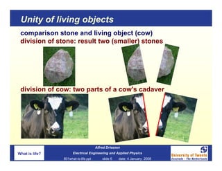 Unity of living objects
 comparison stone and living object (cow)
 division of stone: result two (smaller) stones




 div...