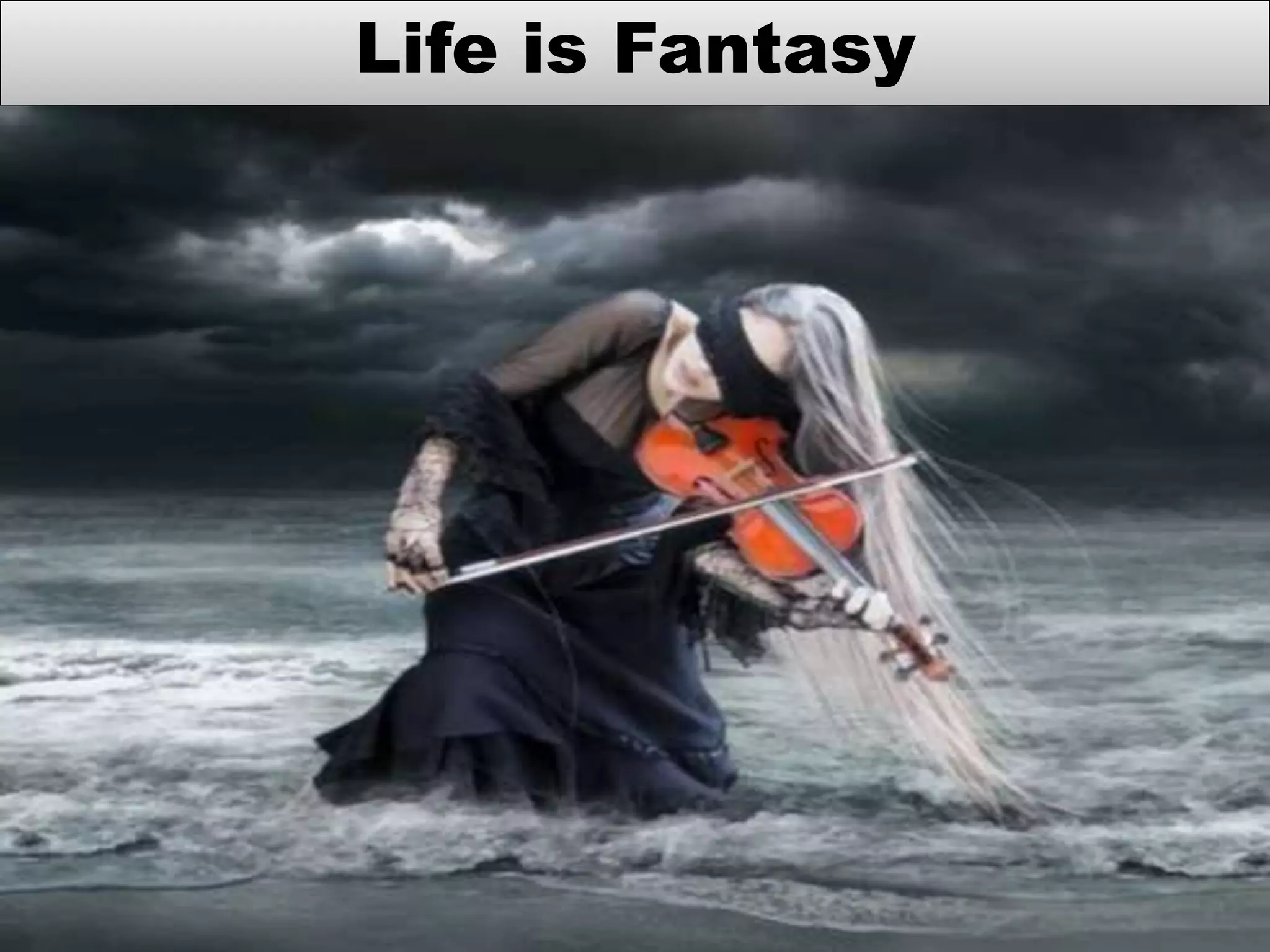 Life is Fantasy