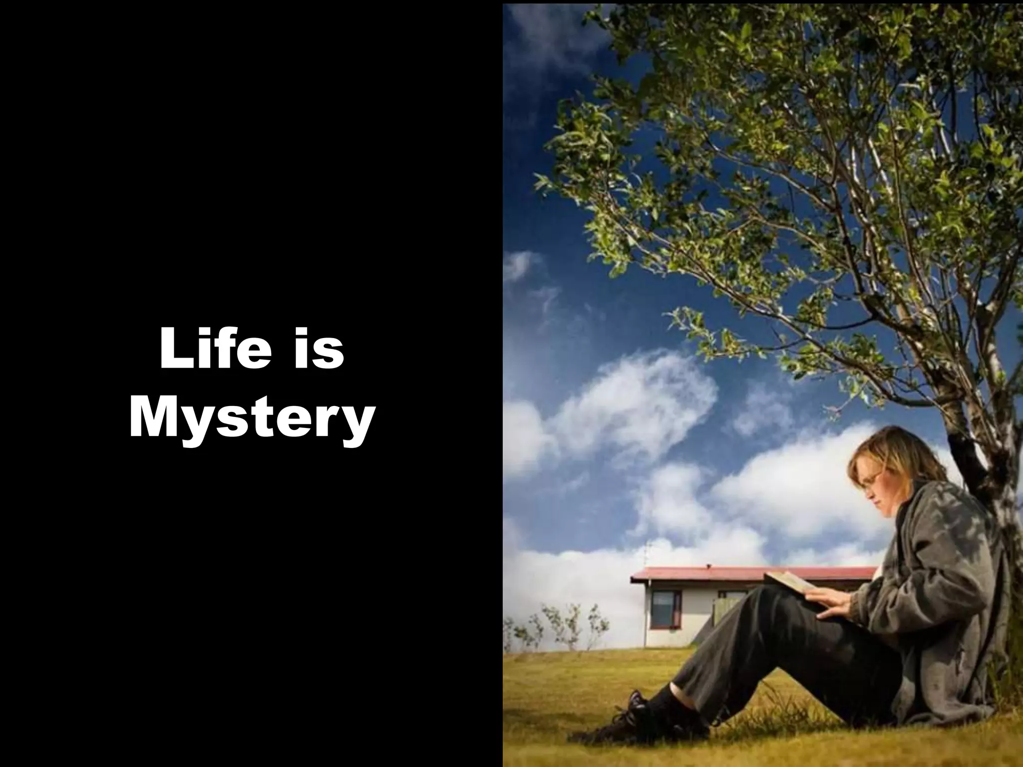 Life is Mystery