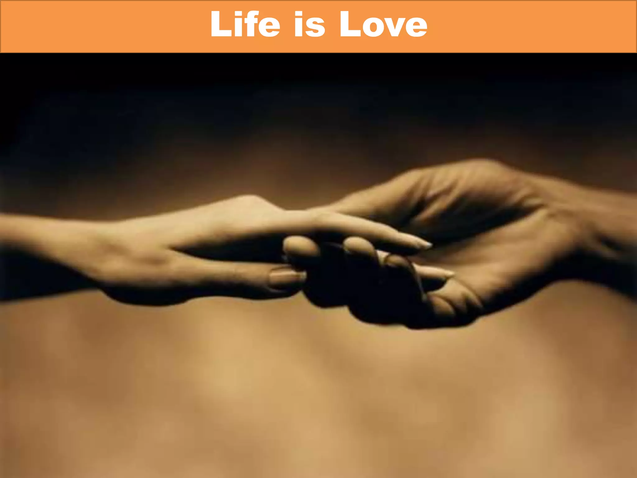 Life is Love