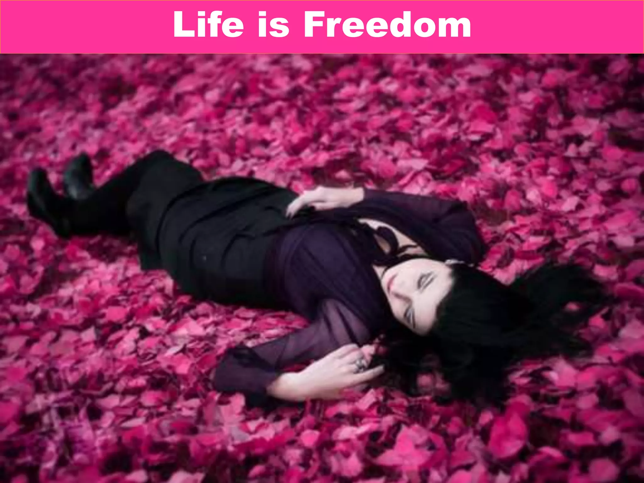Life is Freedom