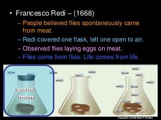 • Francesco Redi – (1668)
– People believed flies spontaneously came
from meat.
– Redi covered one flask, left one open to air.
– Observed flies laying eggs on meat.
– Flies come from flies. Life comes from life.
Copyright © 2010 Ryan P. Murphy
 