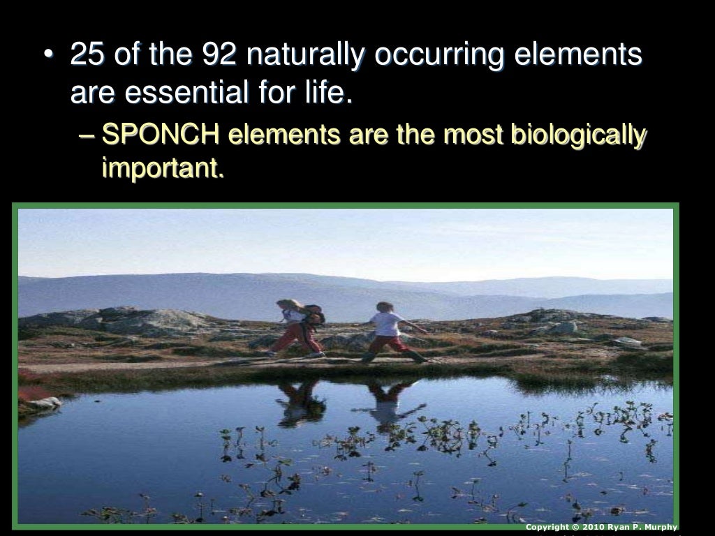 Characteristics Of Life Lesson PowerPoint CHNOPS Biology Introducti characteristics-of-life-lesson-powerpoint-chnops-biology-introducti