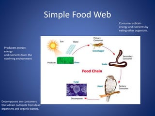 Simple Food Web
Producers extract
energy
and nutrients from the
nonliving environment
Consumers obtain
energy and nutrients by
eating other organisms.
Decomposers are consumers
that obtain nutrients from dead
organisms and organic wastes.
 