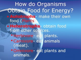 How do Organisms
Obtain Food for Energy?
• Autotrophs- make their own
food (Plants).
• Heterotrophs- obtain food
from other sources.
 Herbivore- eat plants.
 Carnivore- eat animals
(meat).
 Omnivore- eat plants and
animals.
 